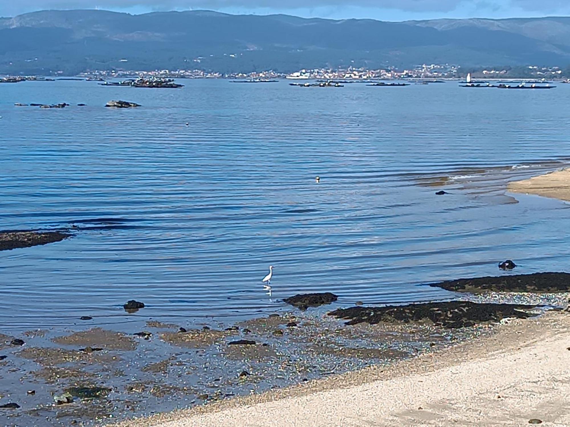 Ferienwohnung Mirador Mar De Castelao, 1ª Linea De Playa Urbana Vilanova de Arousa Exterior foto